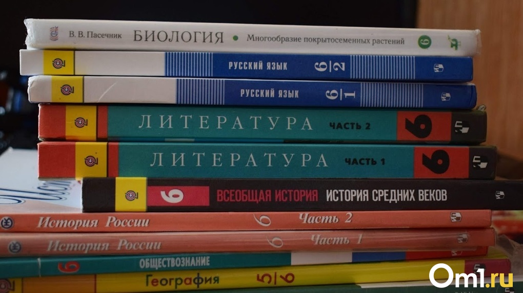 Омская мэрия ищет подрядчика для ремонта гимназии № 88 за 163 миллиона рублей