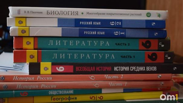 Омская мэрия ищет подрядчика для ремонта гимназии № 88 за 163 миллиона рублей