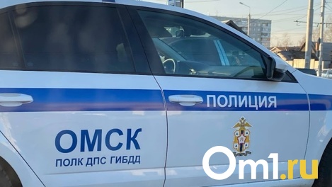 В Омске нетрезвый водитель удирал от ДПС и пытался обхитрить алкотестер