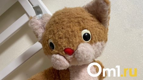 Вспоминаем детство: истории игрушек омичей, которые помнят ещё Советский Союз