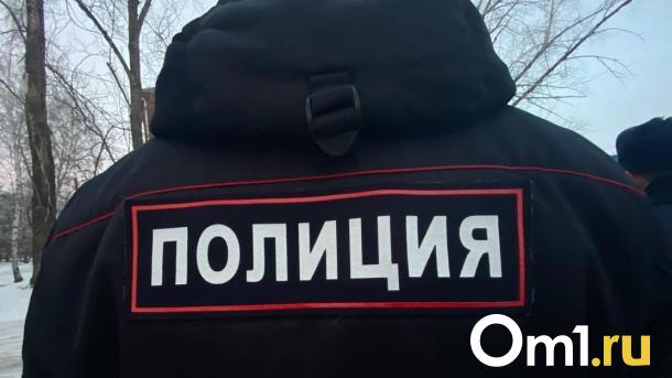 Треть преступлений среди несовершеннолетних в Новосибирской области совершили мигранты