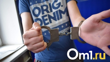 В Пензе посадили омича, напавшего на пенсионера накануне Дня Победы