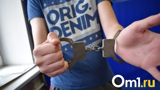 В Пензе посадили омича, напавшего на пенсионера накануне Дня Победы