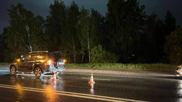 В Омске водитель насмерть сбил пешехода на улице Новороссийской