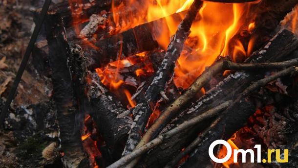 В Омской области собираются ввести особый противопожарный режим