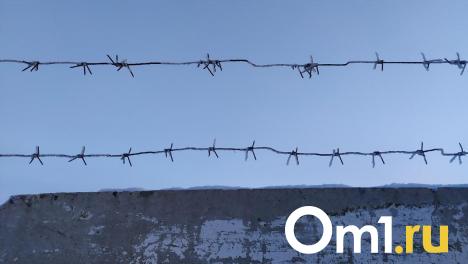 Молодого омича отправили в колонию на 15 лет за убийство беспомощной бабушки
