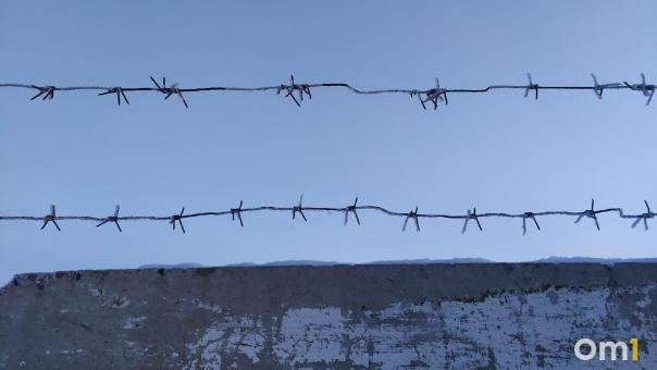 Молодого омича отправили в колонию на 15 лет за убийство беспомощной бабушки