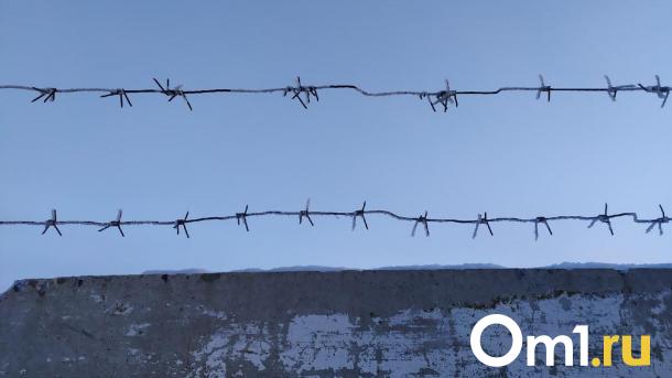 Молодого омича отправили в колонию на 15 лет за убийство беспомощной бабушки