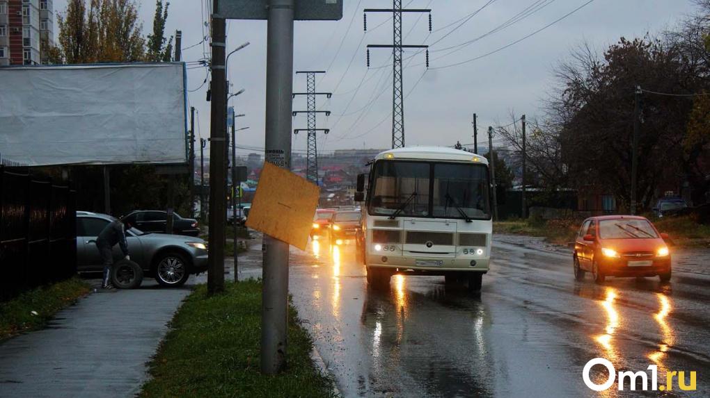 Омские синоптики объяснили аномально тёплую погоду в ноябре