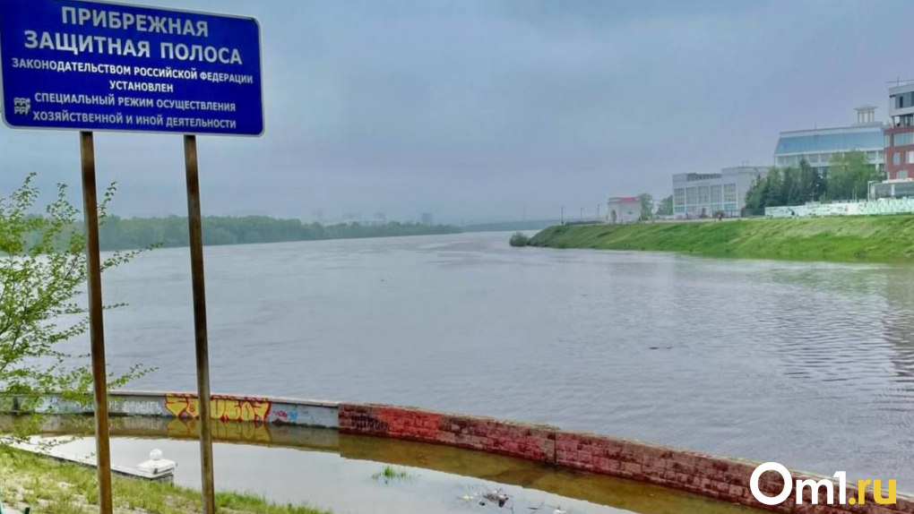 В Омске уровень воды в Иртыше упал на семь сантиметров