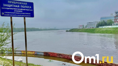 В Омске уровень воды в Иртыше упал на семь сантиметров