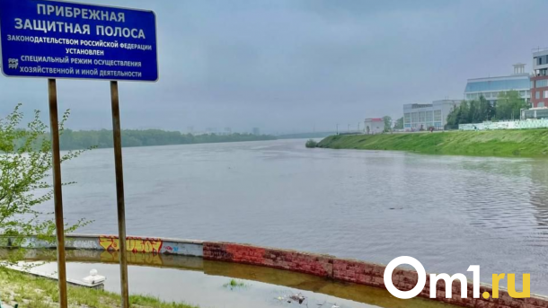 В Омске уровень воды в Иртыше упал на семь сантиметров