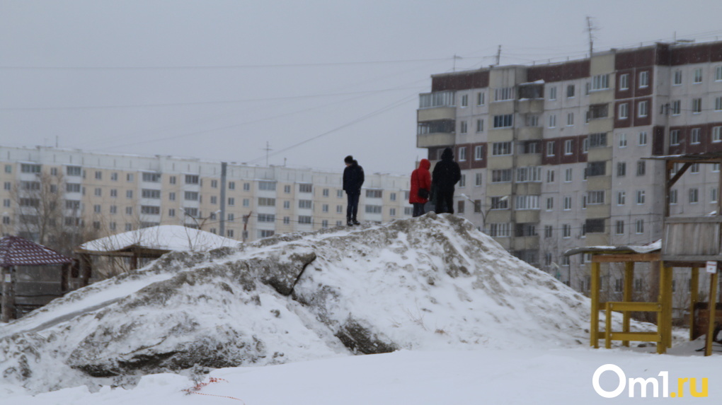 «Лишили детей радости»: мэр Новосибирска выступил против сноса снежных горок