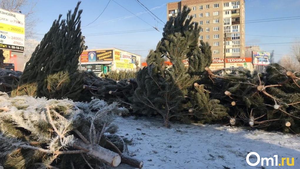 Названы адреса в Октябрьском округе Омска, где разместят ёлочные базары