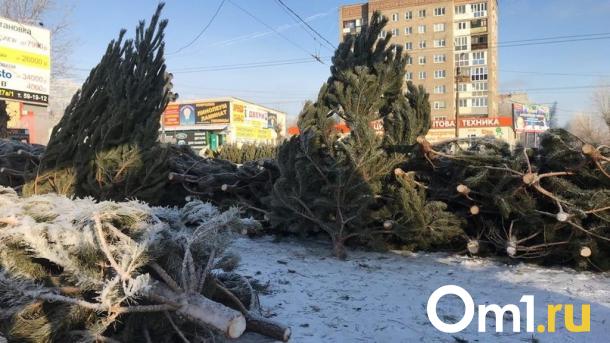 Названы адреса в Октябрьском округе Омска, где разместят ёлочные базары