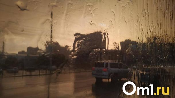 Град и ливни вдобавок к паводку: на Омск снова движется непогода