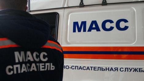 Сняли с дерева десятилетнего школьника спасатели МАСС в Новосибирске