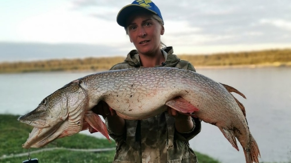 Сломали спиннинг: жительница Новосибирска поймала гигантскую рыбу