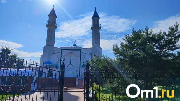 В Омске хотят открыть школу с преподаванием на казахском языке