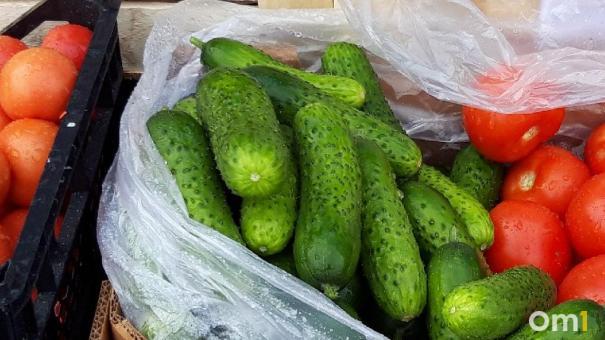 Омским дачникам рассказали, как сохранить урожай огурцов