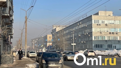 «Полная квартира гари»: омичи пожаловались на рекомендации Роспотребнадзора