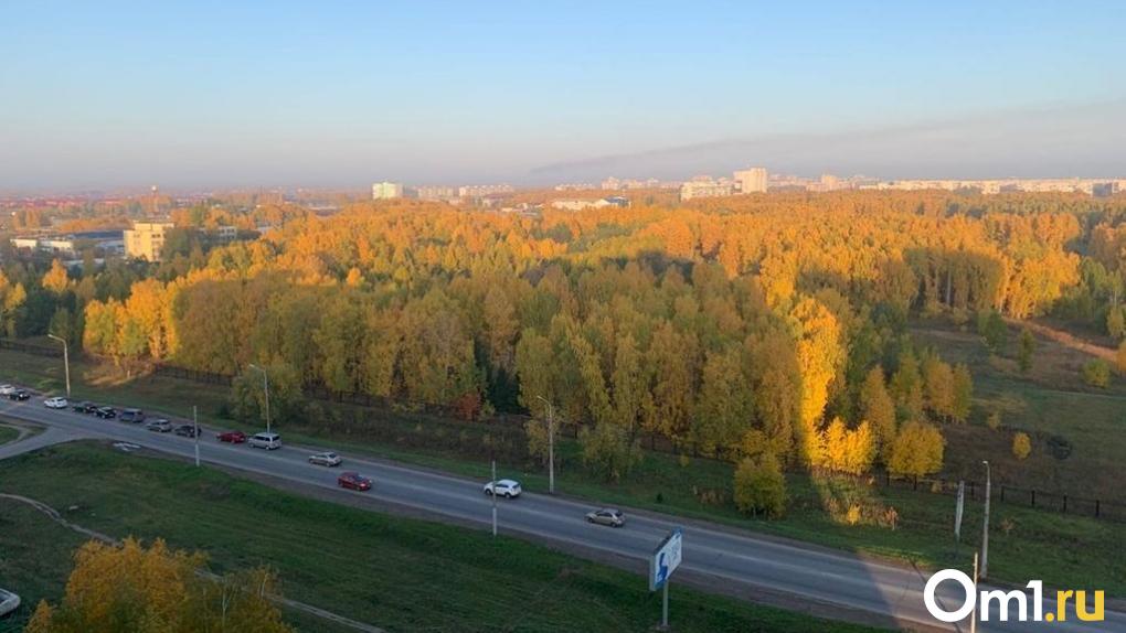 В Омске объявили режим НМУ первой степени опасности