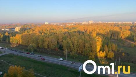 В Омске объявили режим НМУ первой степени опасности