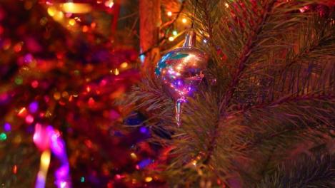 Как купить новогоднюю ёлку и на что обратить внимание — советы от Роспотребнадзора