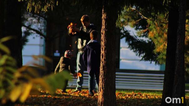 Суд вернул городу участок парка 30-летия ВЛКСМ, проданный с нарушением закона