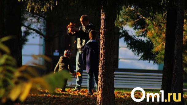 Суд вернул городу участок парка 30-летия ВЛКСМ, проданный с нарушением закона