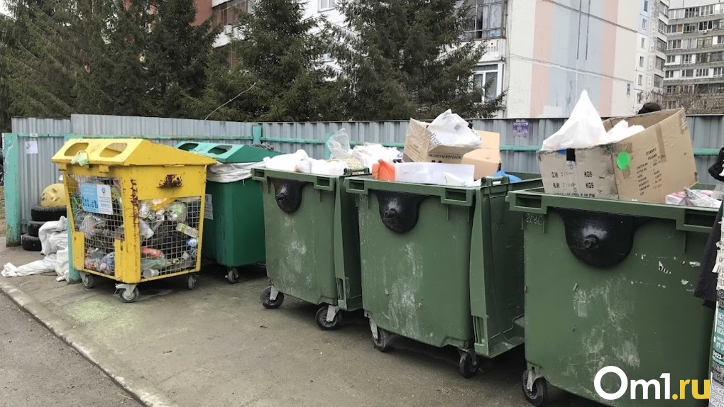 Контейнеры для раздельного сбора мусора от Арктика Сити исчезли из Советского района Новосибирска