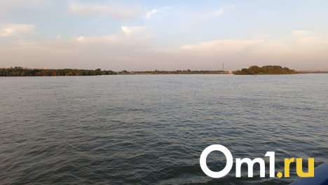 Мёртвого мужчину достали спасатели из Оби в Новосибирске