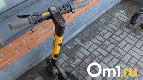 На дорогах Омска нанесут разметку для электросамокатов