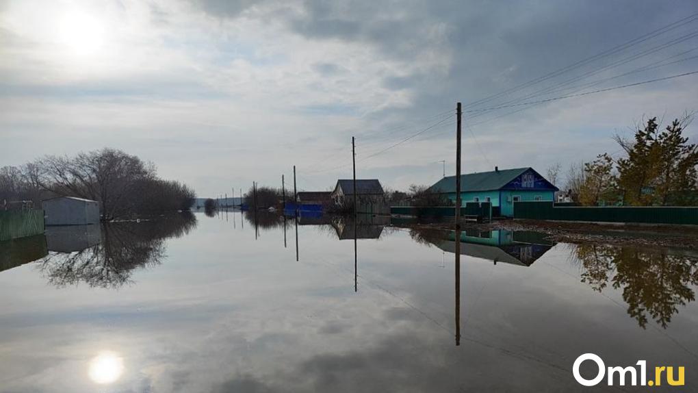 Река выходит из берегов: в Омской области затопило ещё один район