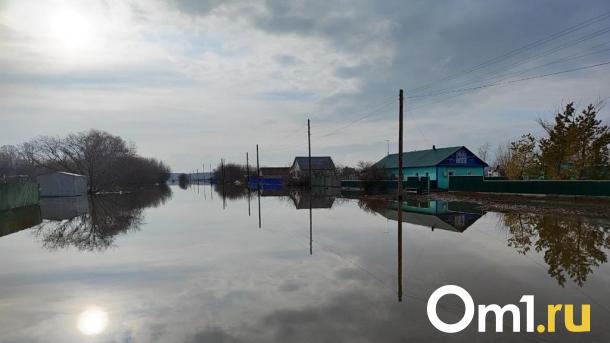 Река выходит из берегов: в Омской области затопило ещё один район