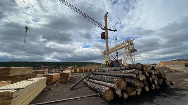 Омского предпринимателя подозревают в контрабанде леса на 240 тысяч рублей