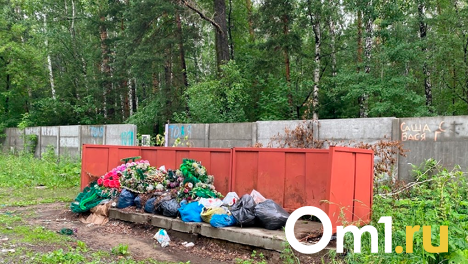 Пожар на скандальной левобережной свалке Новосибирска почти потушили