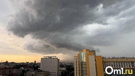 На бульваре Заречном в Омске ураганом повалило дерево