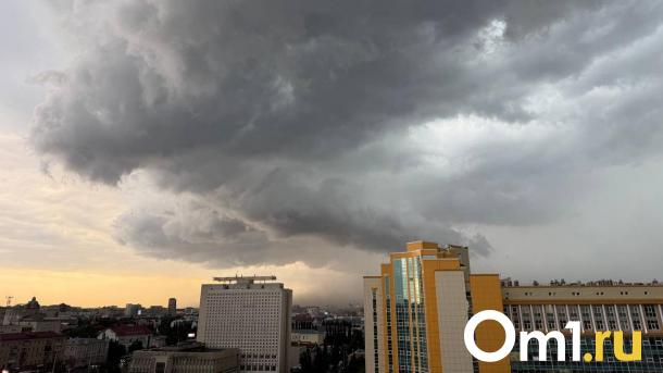На бульваре Заречном в Омске ураганом повалило дерево