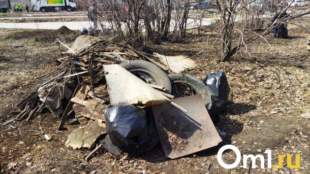Каждый восьмой омич принял участие в общегородском субботнике