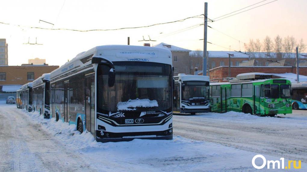 В мэрии заставили частных перевозчиков подключиться к вывозу снега из Омска