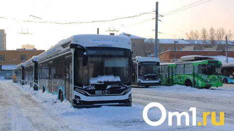 В мэрии заставили частных перевозчиков подключиться к вывозу снега из Омска