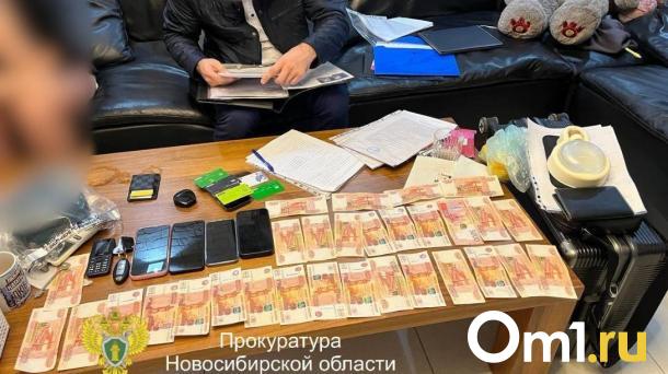 «95 миллионов в кармане»: главу Минпромторга Новосибирской области подозревают в махинациях