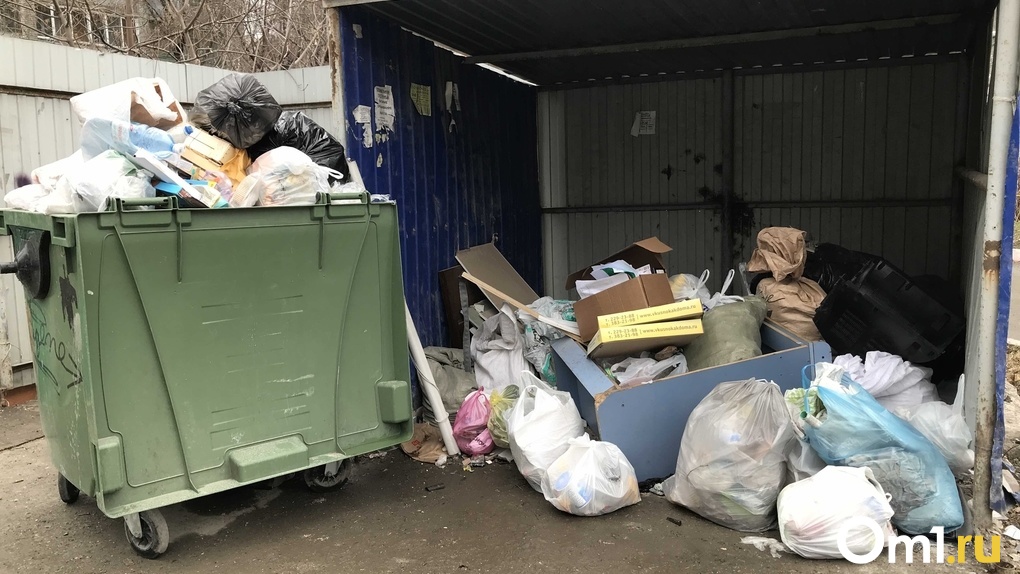 Новосибирцы пожаловались на горы мусора во дворах Плющихинского жилмассива. ФОТО