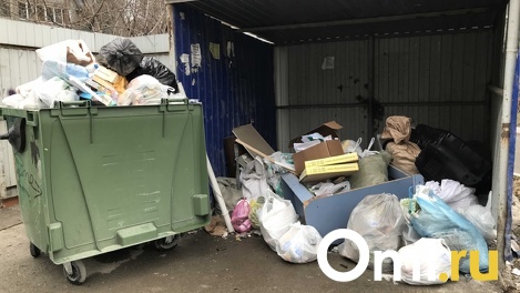 Новосибирцы пожаловались на горы мусора во дворах Плющихинского жилмассива. ФОТО