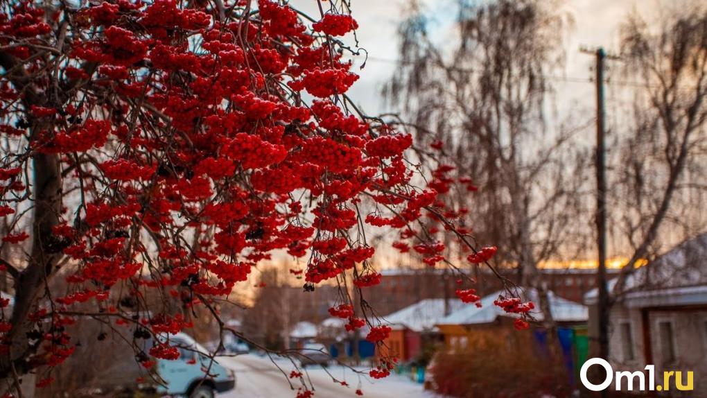 От +2 до -40: синоптики опубликовали температурные рекорды января в Омске