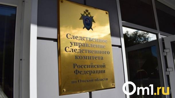Региональный Следком начал проверку из-за повреждённой кровли в омском садике