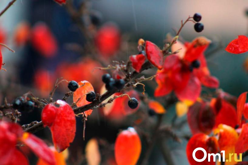 Изображение фоторепортажа