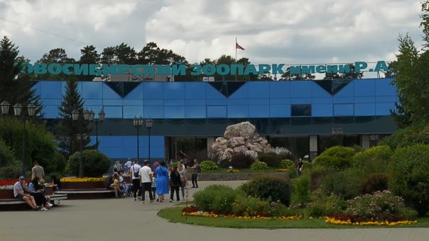 В Новосибирском зоопарке пройдёт волонтёрская акция по плетению гамаков для животных