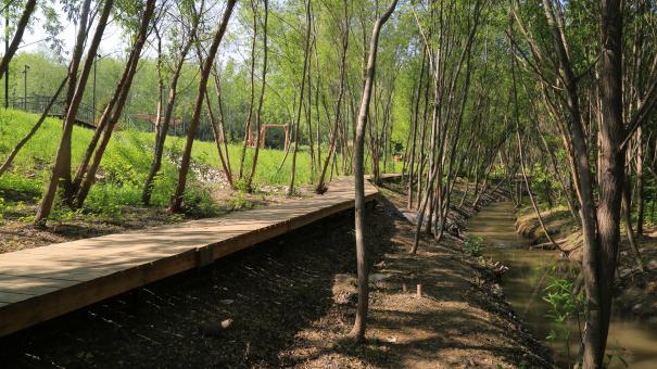 «Новосибирск — город-мотор»: сохранение водно-зелёного каркаса обсудили участники Всероссийской конференции